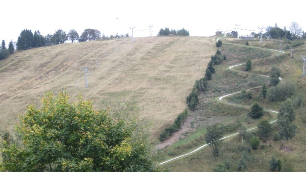 Dies ist ein Foto vom Ausflug der Breitensportgruppe in den Harz 2025.